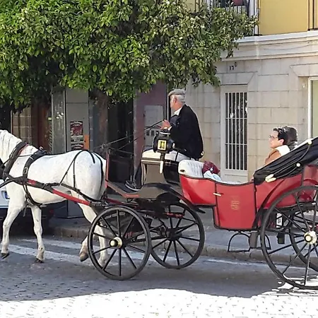 Sherryflat Fate Lejlighed